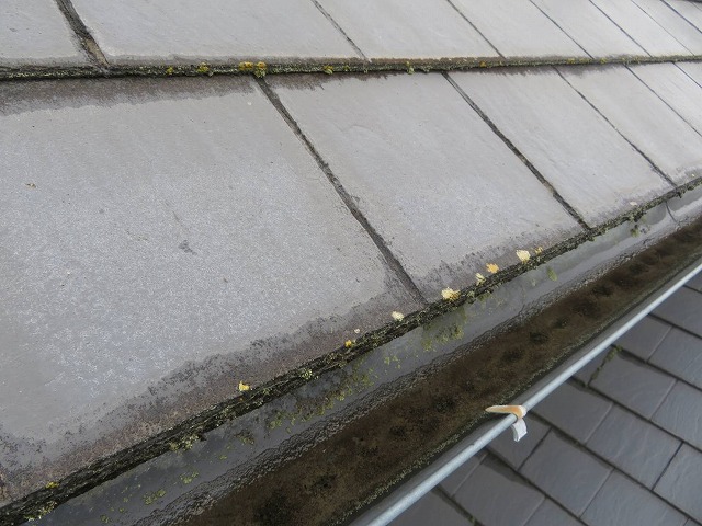 屋根材の表面劣化