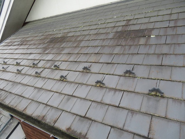 屋根全体のコケの広がり