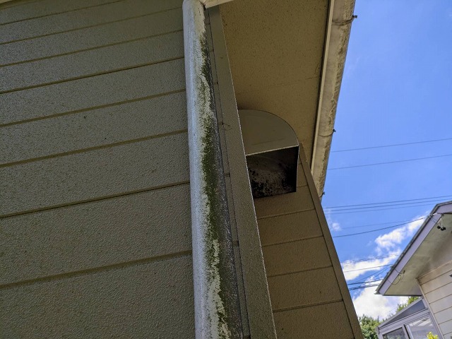 外壁に付着した苔と雨樋の汚れ