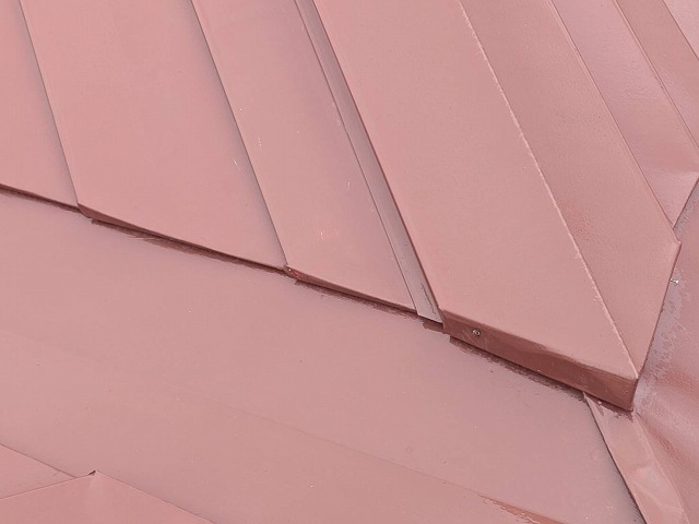 伊那市N邸屋根棟板金クギ