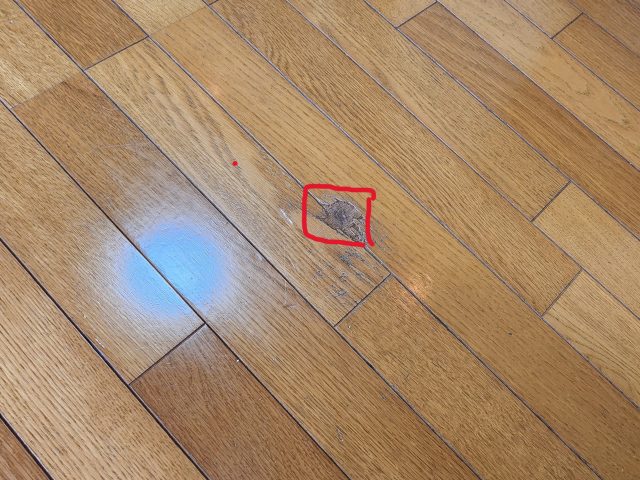 駒ヶ根市N邸_内装施工前_床キズ