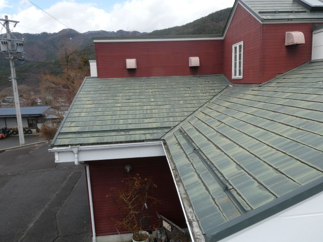 木曽町秋桜さま_ビフォー