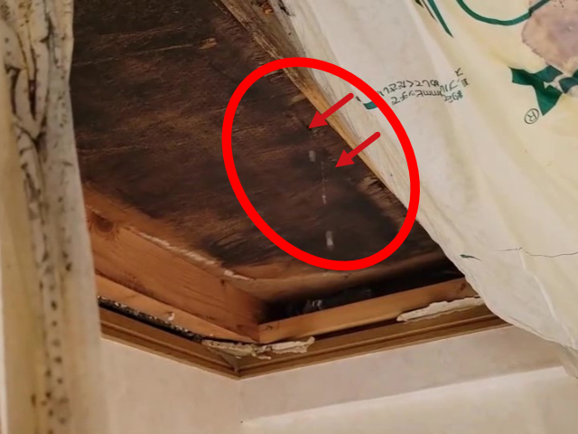 駒ヶ根市I邸_散水テスト-天井2