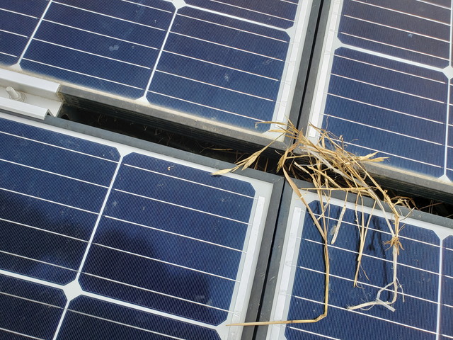 ソーラー4　20190611