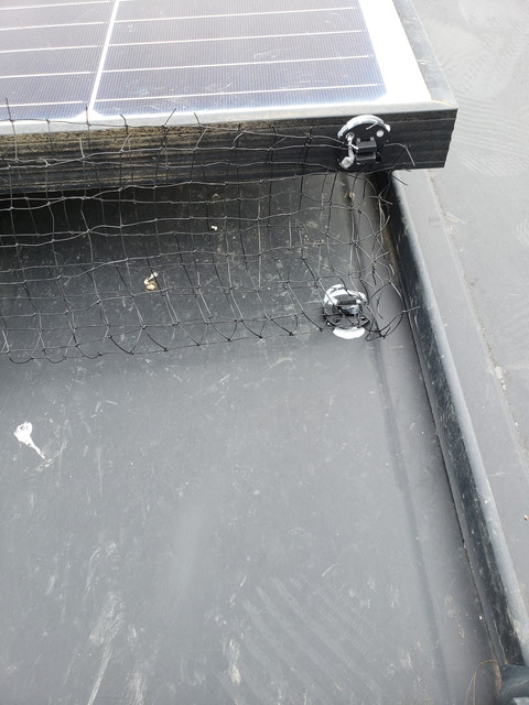 鳥防止ネット2　20190611