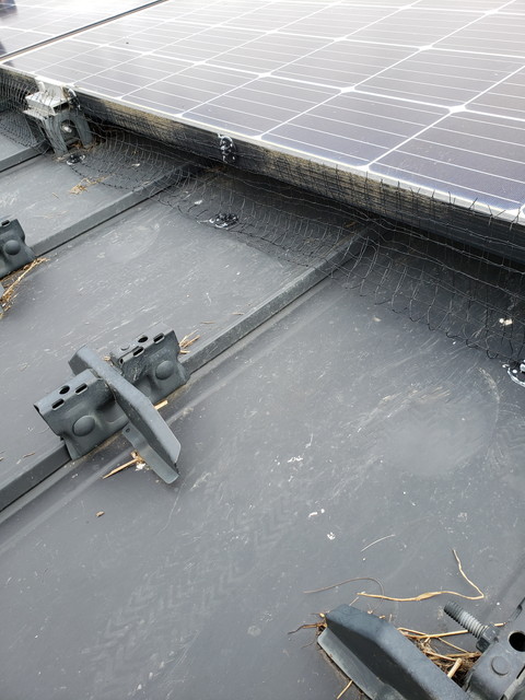 鳥防止ネット3　20190611