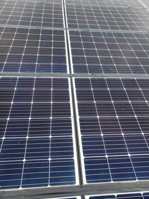 鳥防止ネット5　20190611