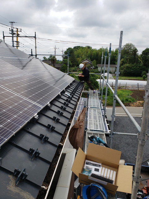 鳥防止ネット20190611
