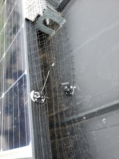 鳥防止ネット6　20190611