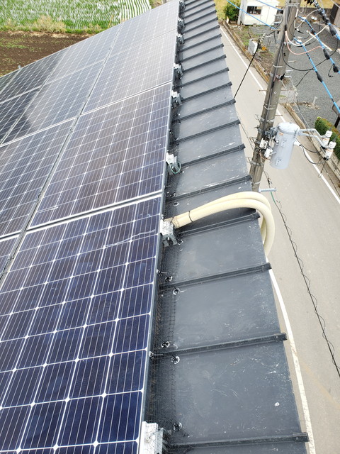 鳥防止ネット7　20190611