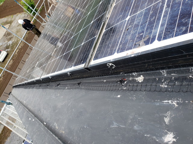 鳥防止ネット8　20190611