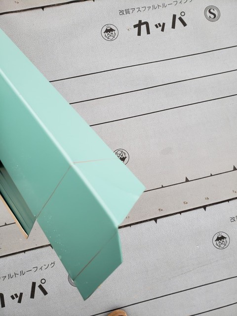 尾垂カット部20200303