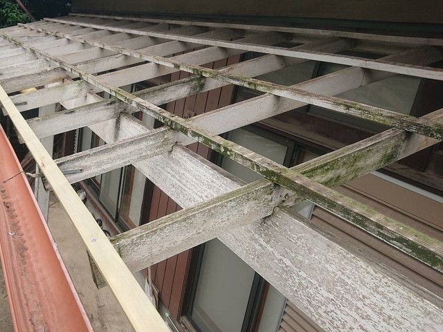 テラス屋根　波板撤去