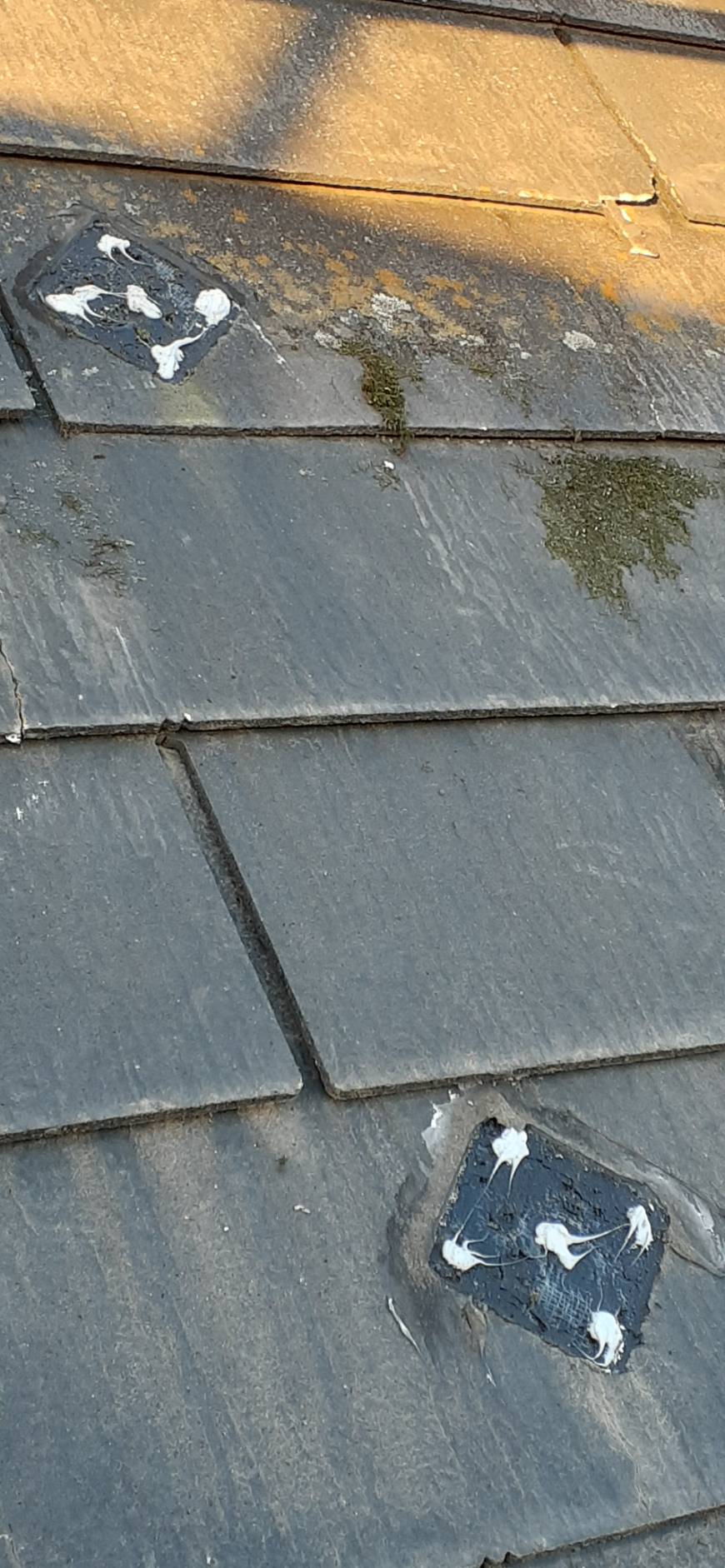 屋根カバー　板橋