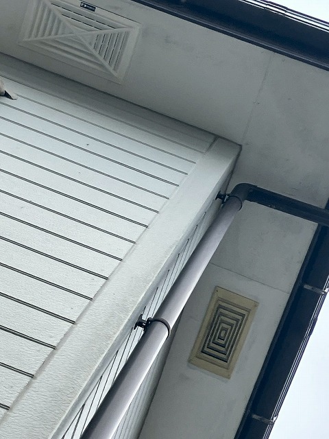 全体的な体色が進行