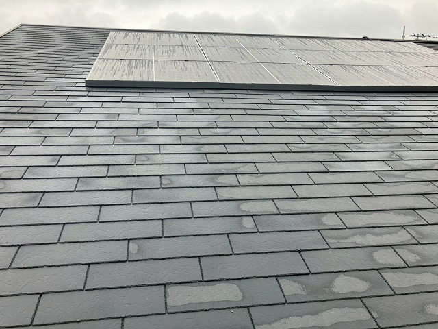 定期点検で太陽光をチェック