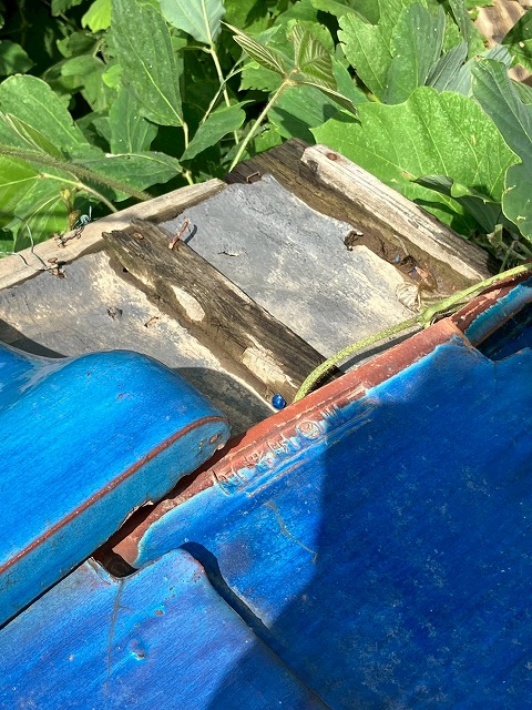 防水シートが剥き出しの屋根