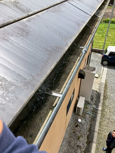 雨樋のクモの巣とホコリ