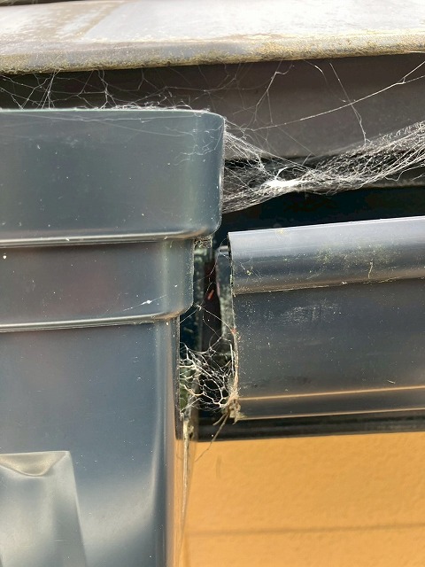 雨樋が外れている部分