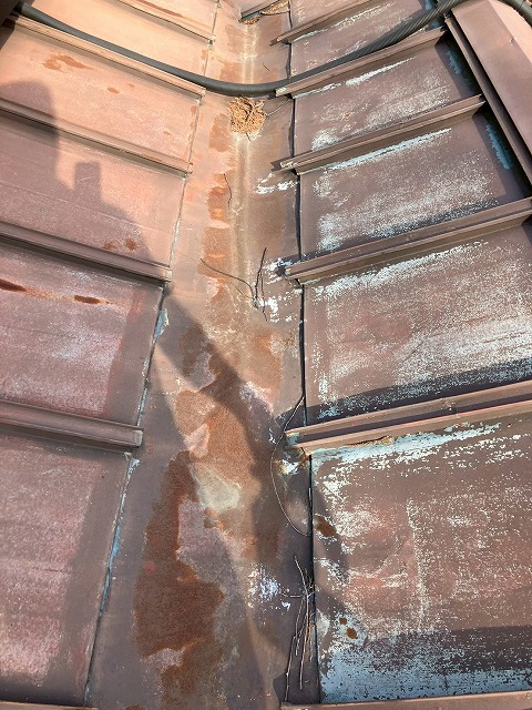 トタン屋根の低部