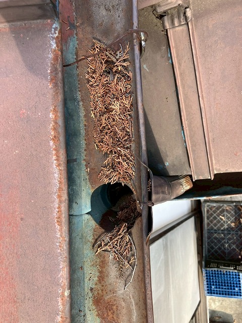 金属製の雨どいが劣化している