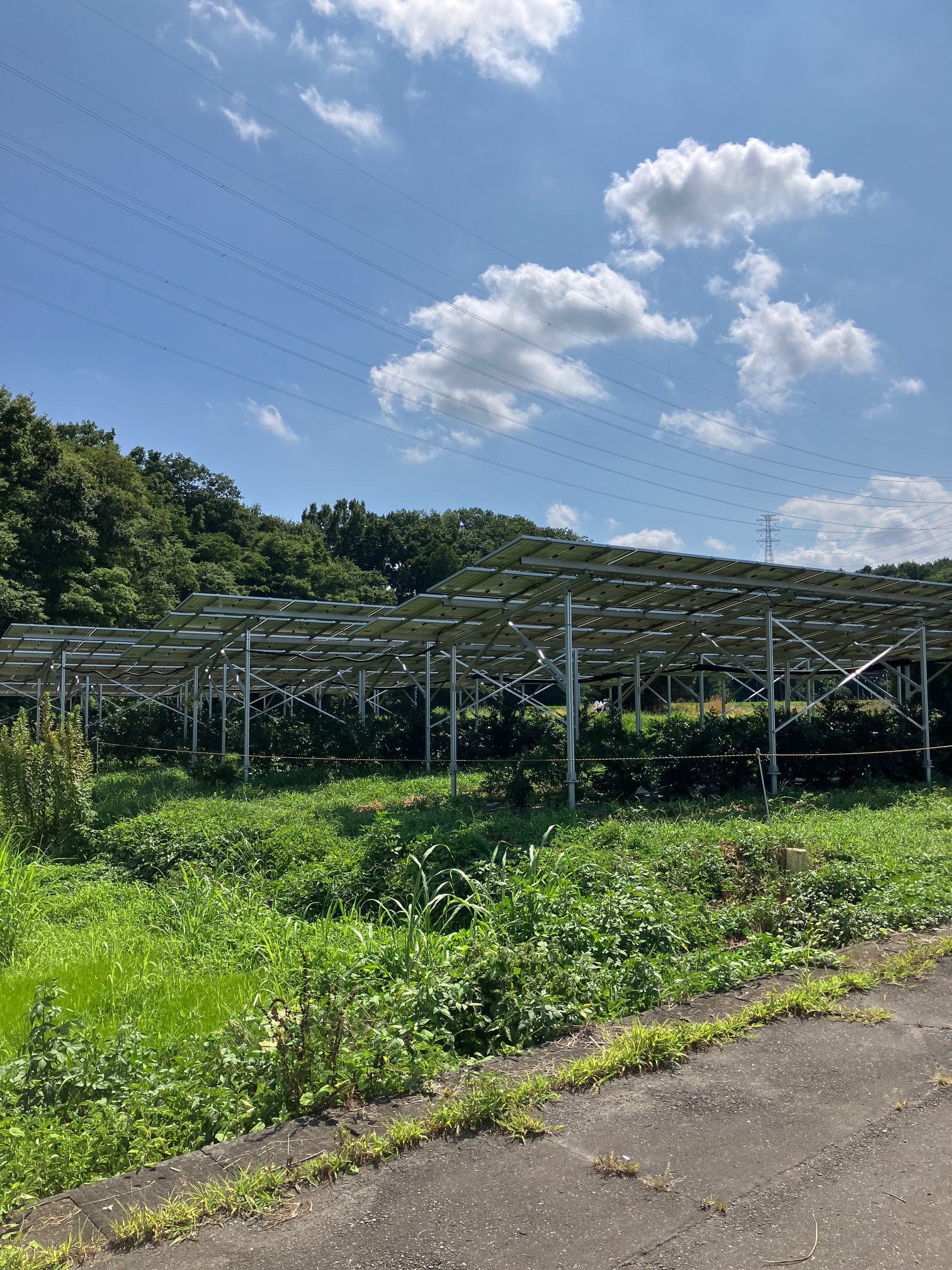 工事後お客様の声