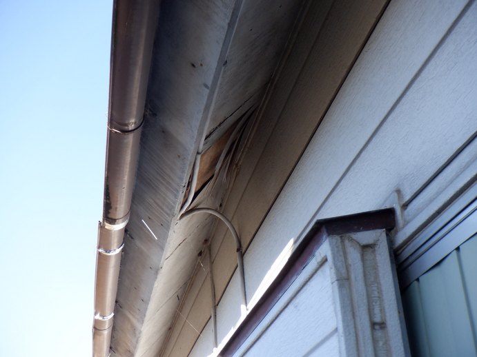 軒天井の剝がれと雨樋のずれ