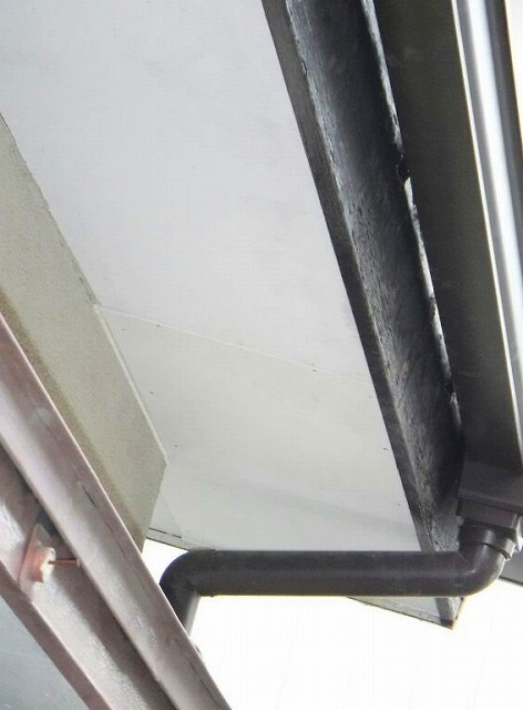 軒天井直した後