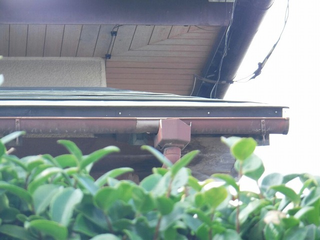 雨どい集水器が割れている状態