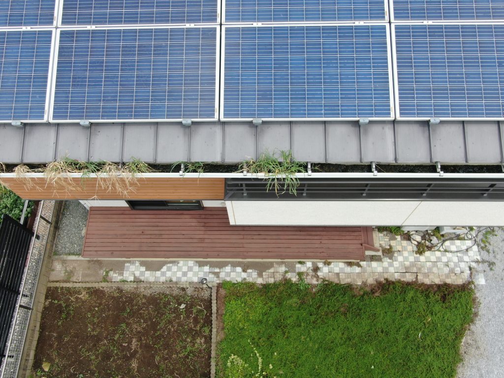 複数箇所の巣材堆積