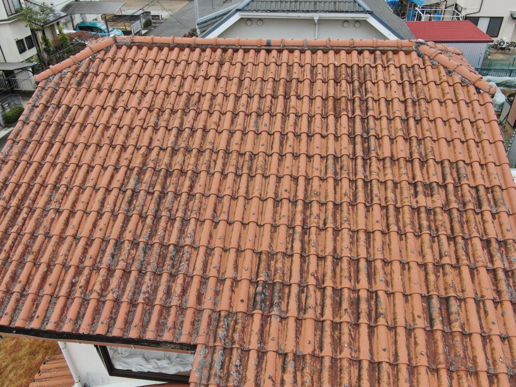 屋根全体の汚れ状況