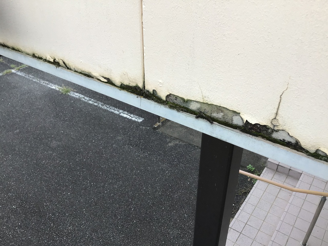 水切り部吸い上げ