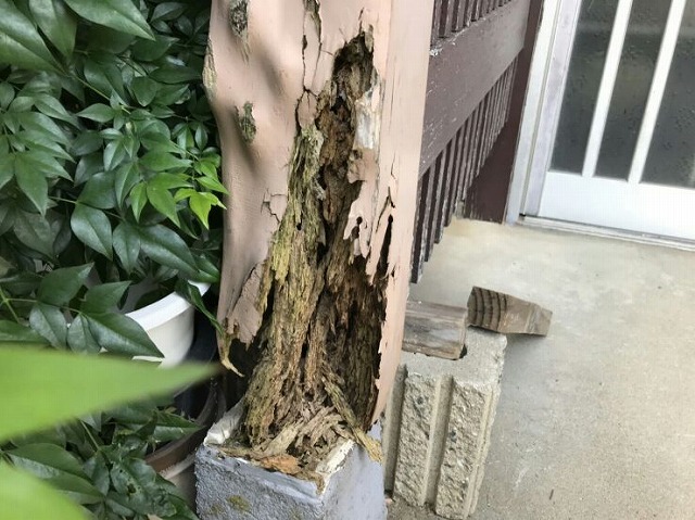 玄関の屋根を支える柱の腐ったところ根本近景