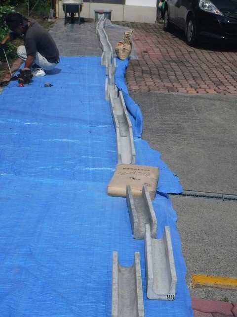 U字構ブルーシートに並べたところ