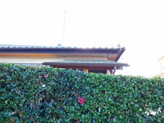 雨どい玄関垣根越し