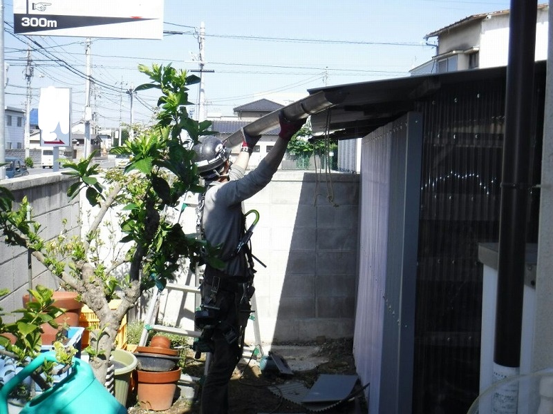 小屋雨樋外しているところ