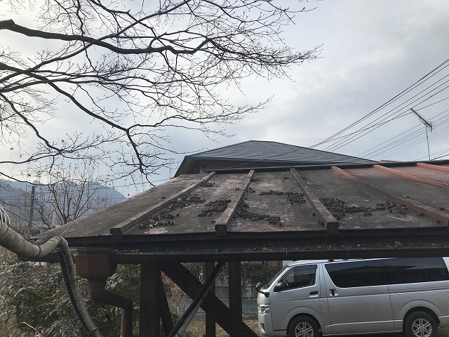 車庫の雨どい集水器近辺にたまったごみ