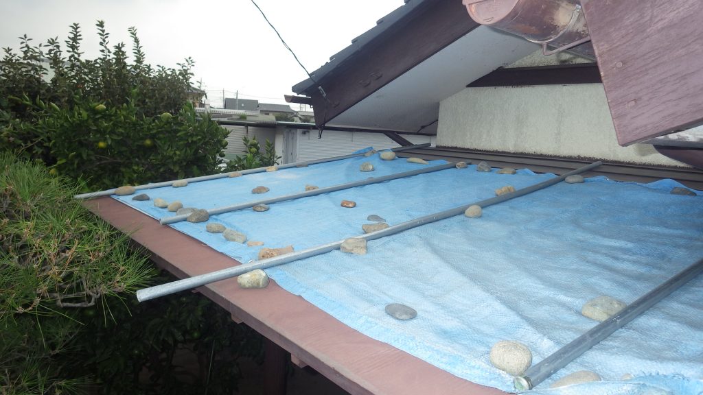 下屋のブルーシート養生