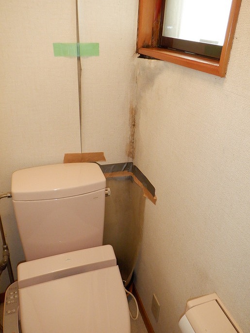 雨漏りによりトイレのクロスの剥がれ