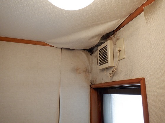 雨漏りでトイレ天井クロス剥がれ