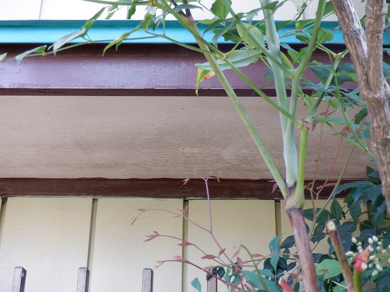 ベニヤの軒天井