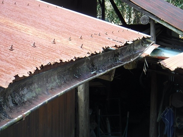 農機具小屋の軒樋とボロボロの波板の先端