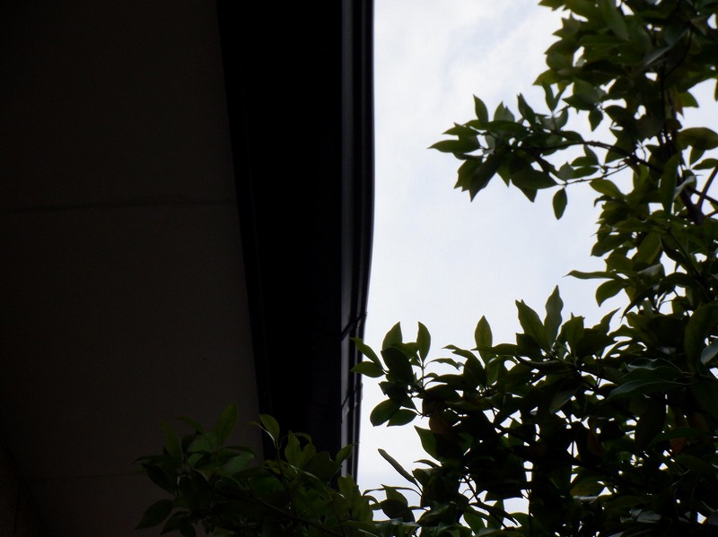 雨樋ふくらみ変形