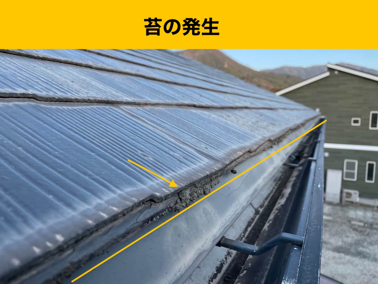 福岡市早良区の屋根リフォーム、苔の発生