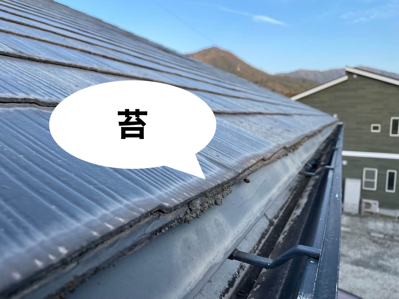 スレート屋根の苔