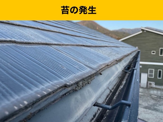 スレート屋根の苔