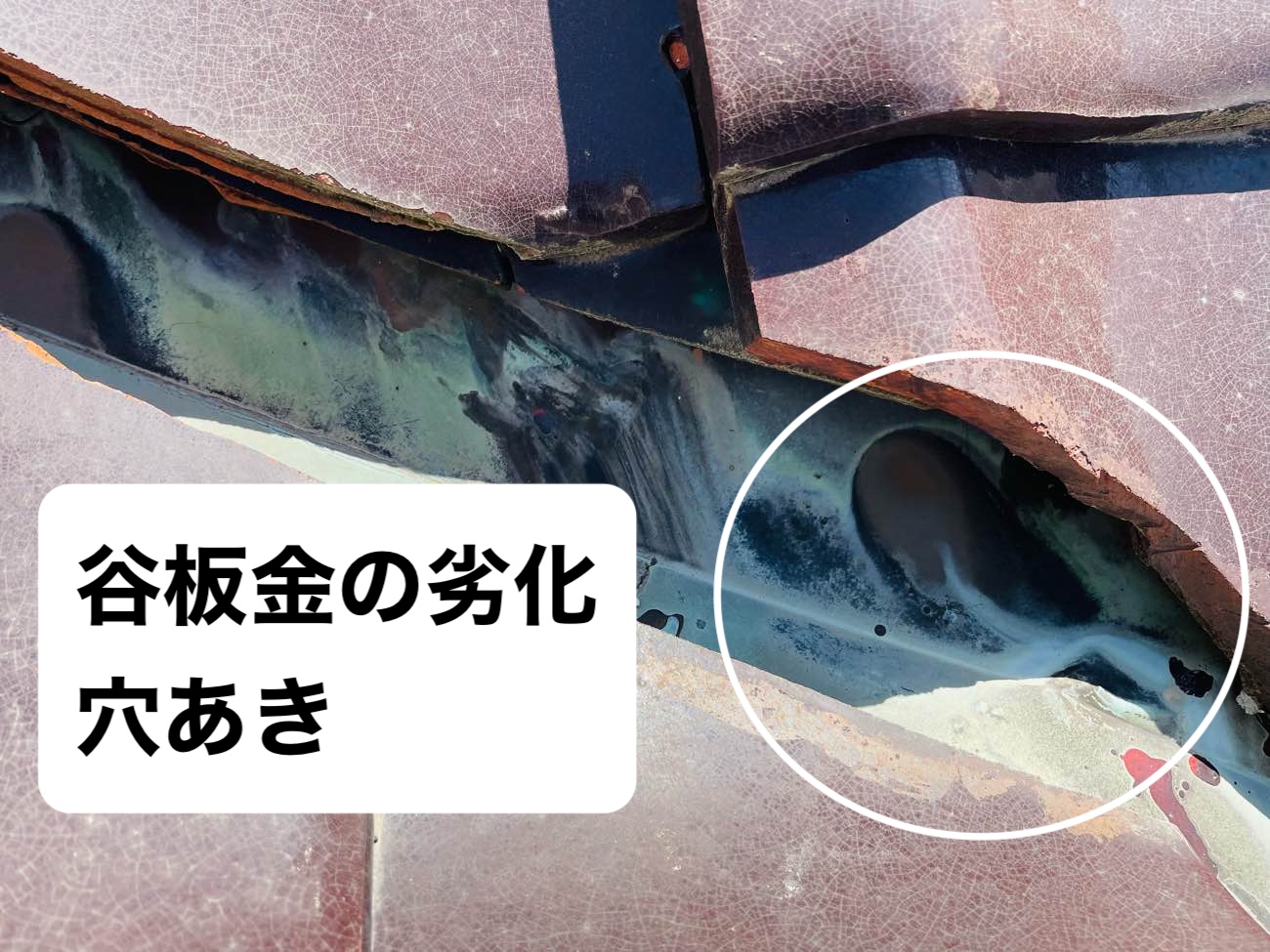 谷板金の劣化、雨漏りの原因