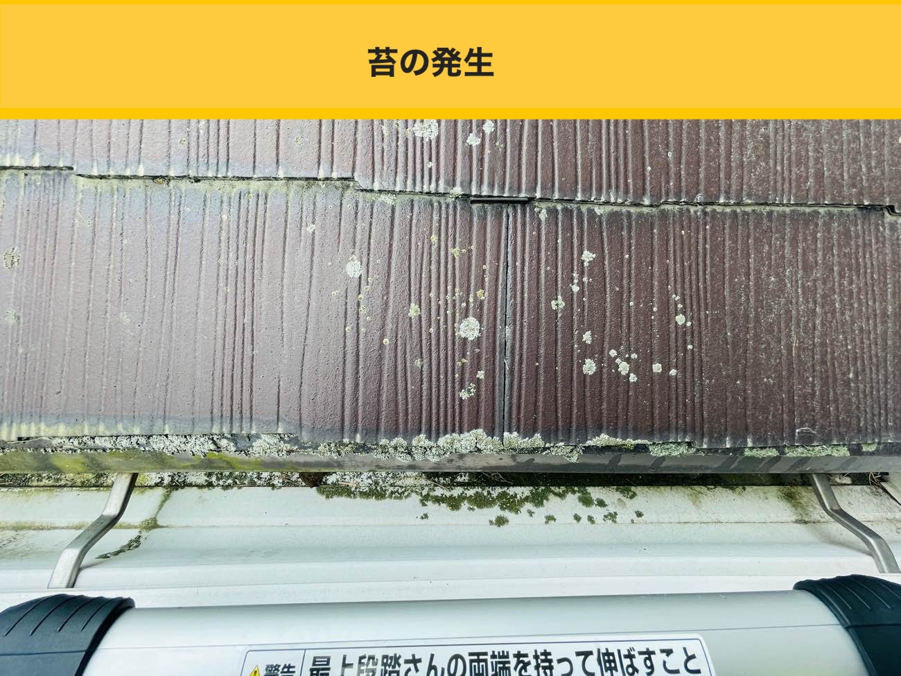 スレート屋根の苔の発生