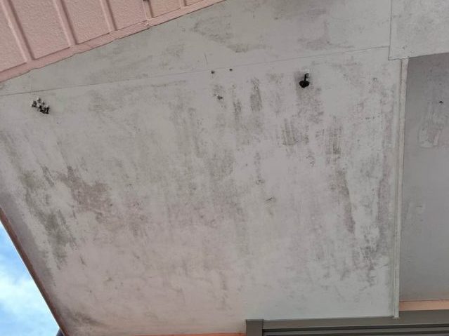 飯塚市の調査で見つかった天井汚れ