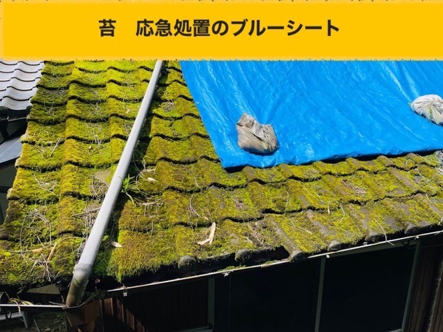 地震被害を受けた屋根、屋根調査